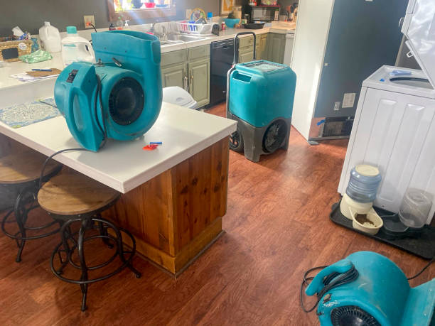 Best Water damage repair service  in Center Point, AL