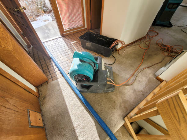 Best Flood restoration services  in Center Point, AL