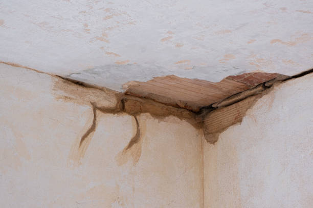 Best Professional water damage repair  in Center Point, AL