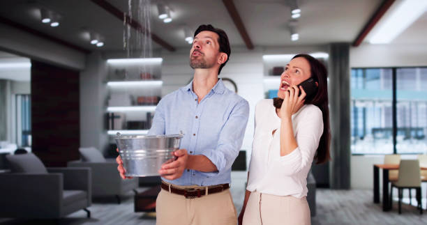 Best Local water damage restoration  in Center Point, AL