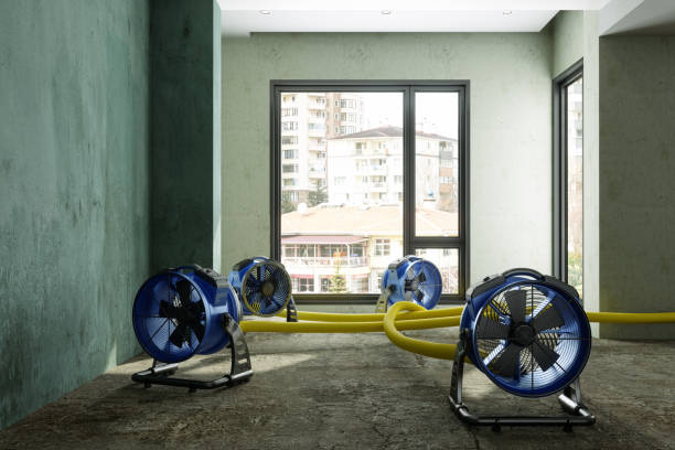 Best Residential water damage restoration  in Center Point, AL